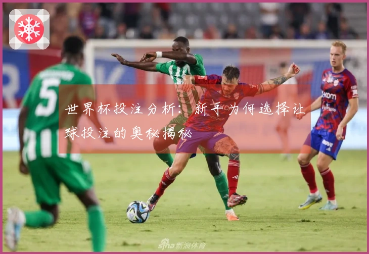 世界杯投注分析：新手为何选择让球投注的奥秘揭秘