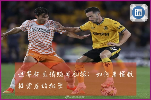 世界杯竞猜赔率初探：如何看懂数据背后的秘密