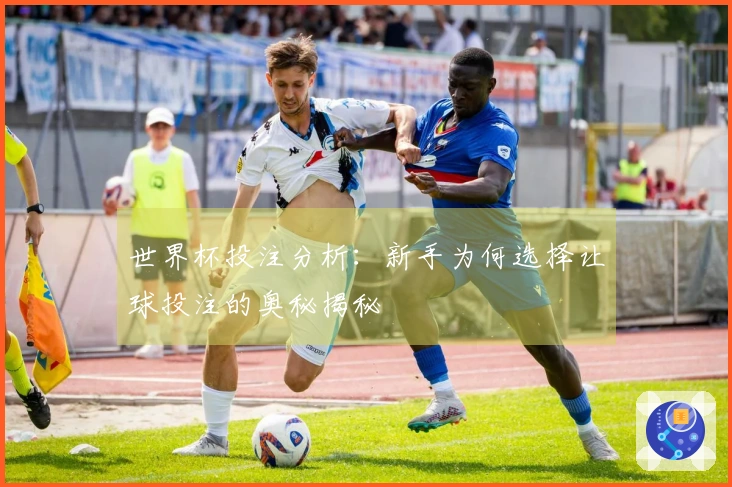 世界杯投注分析：新手为何选择让球投注的奥秘揭秘