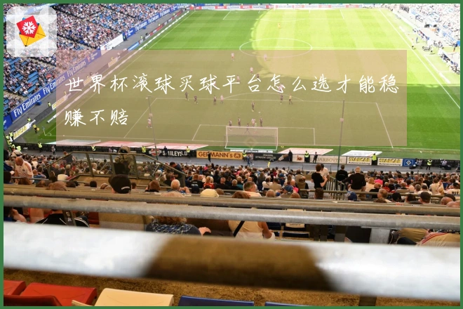 世界杯滚球买球平台怎么选才能稳赚不赔