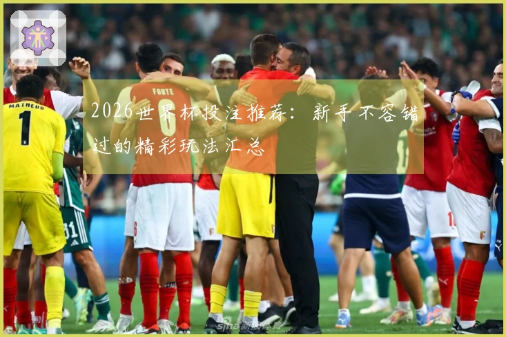2026世界杯投注推荐：新手不容错过的精彩玩法汇总
