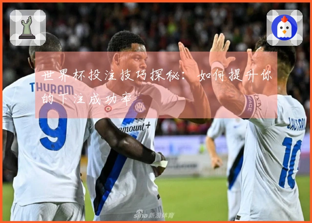 世界杯投注技巧探秘：如何提升你的下注成功率