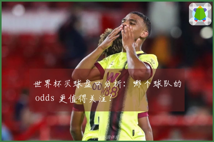 世界杯买球盘口分析：哪个球队的 odds 更值得关注？
