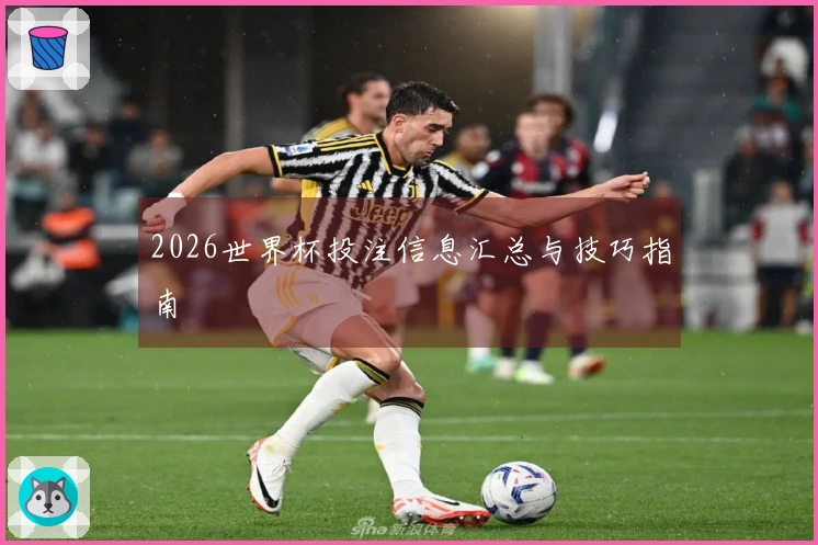 2026世界杯投注信息汇总与技巧指南