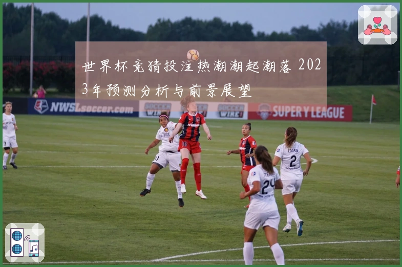 世界杯竞猜投注热潮潮起潮落 2023年预测分析与前景展望