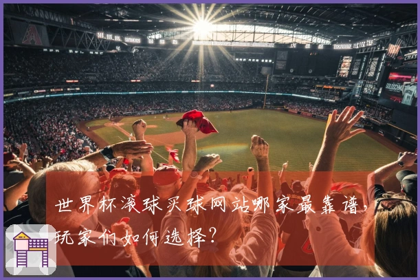 世界杯滚球买球网站哪家最靠谱，玩家们如何选择？