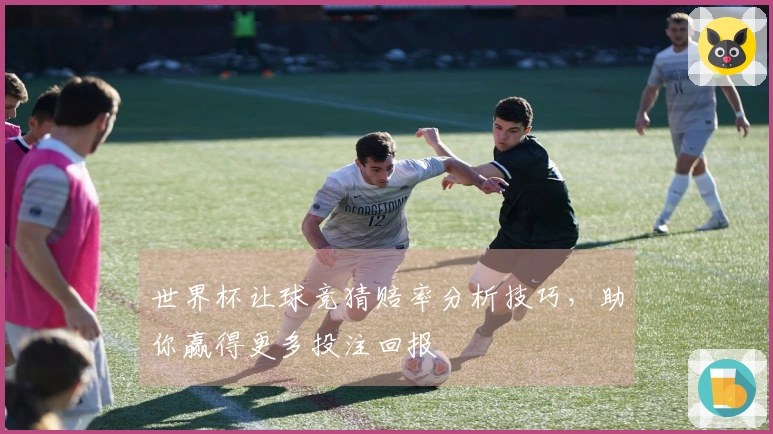 世界杯让球竞猜赔率分析技巧，助你赢得更多投注回报