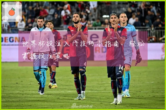 世界杯投注入门技巧小指南，轻松掌握投注策略