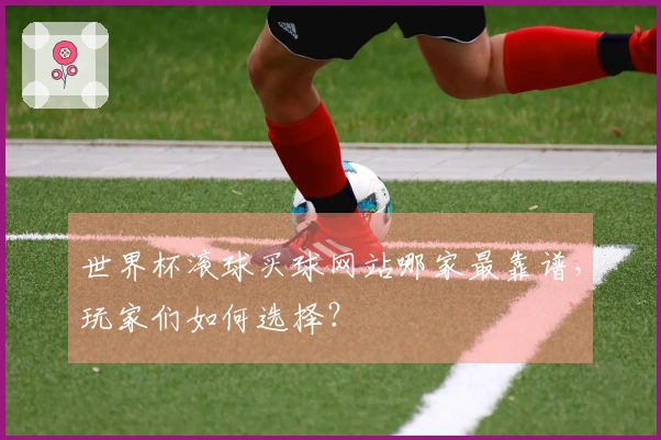世界杯滚球买球网站哪家最靠谱，玩家们如何选择？