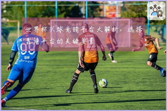 世界杯买球竞猜平台大解析，选择靠谱平台的关键要素